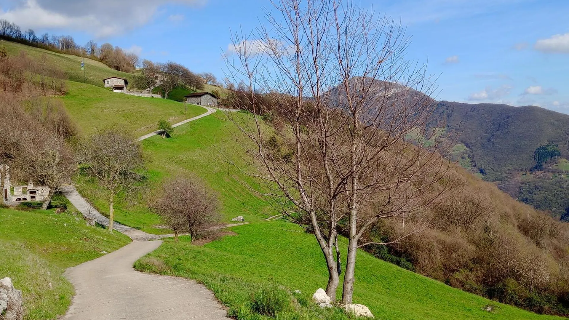 Holiday home Baita Bellavista Affiliato Best-Incoming Adrara San Rocco Italy